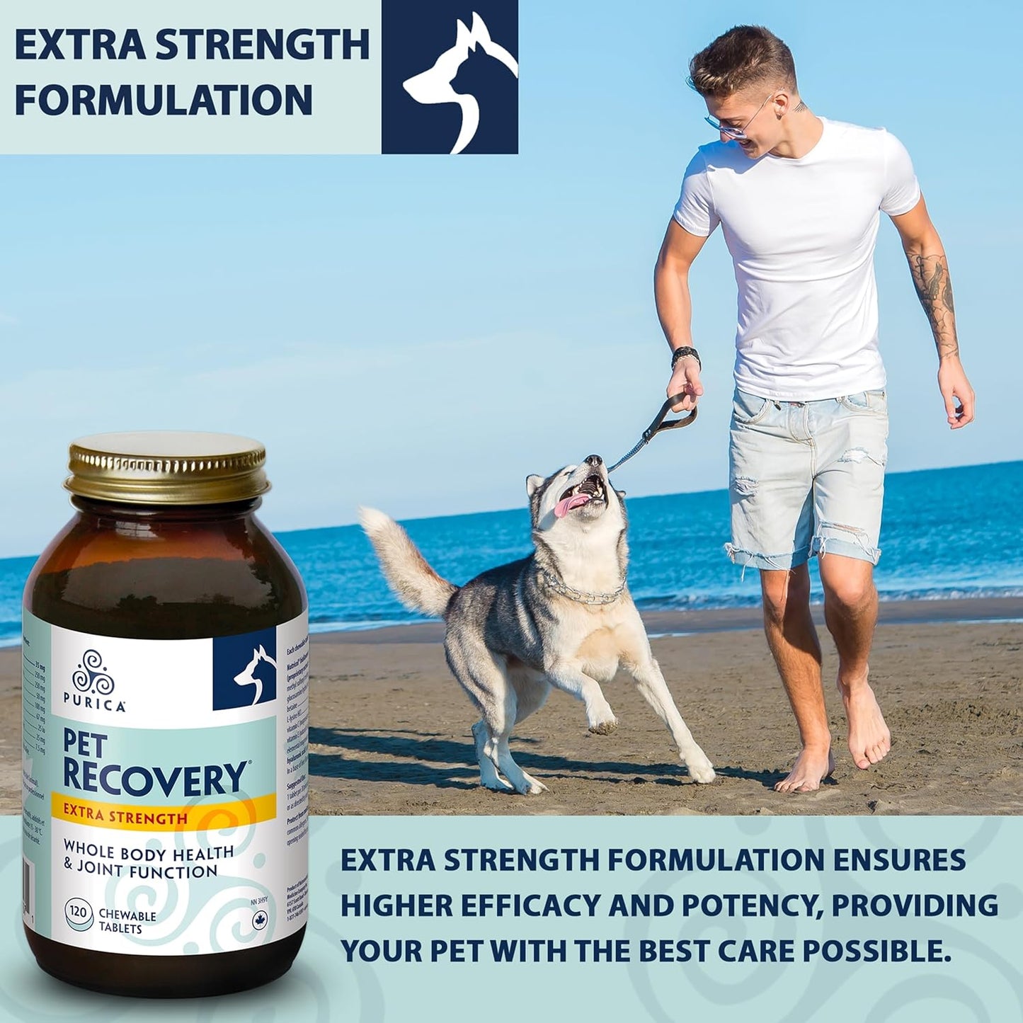 Purica Recovery Extra Strength Dog Supplement - Supports Hip and Joint Health for All Breeds - Contains Nutricol, Hyaluronic Acid, EGCG, Resveratrol - Aims to Enhance Canine Endurance and Flexibility