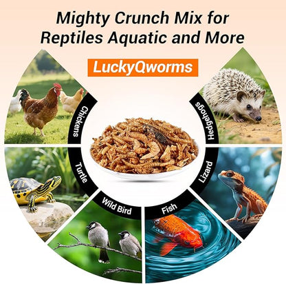 Mighty Crunch Mix Aquatic Turtle Food - 1 Lbs Resealable Bag of High Protein Insect Blend, Dried Mealworms, River Shrimp, Crickets - for Turtles, Reptiles & Amphibians, Chicken, Birds