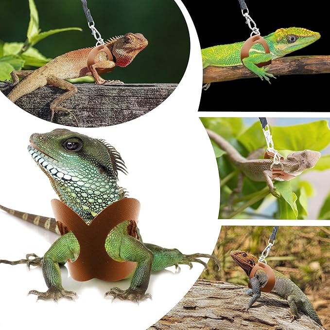 Bearded Dragon Harness and Leash Set, 3-Size Adjustable Soft Leather Reptile Leash for Training & Walking, Lizard Harness with Traction Rope, Walking Vest for Small Animal Outdoor (Brown)