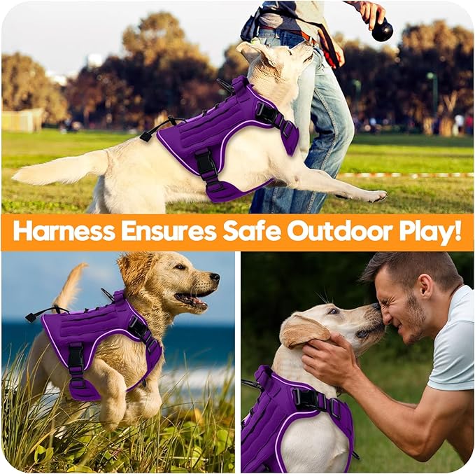 Heavy-Duty Tactical Dog Harness for Large Dogs, No Pull Adjustable Reflective Pet Vest with Molle System, K9 Military-Grade Control for Service Training, Outdoor & 10+ Breeds, Purple, X-Large
