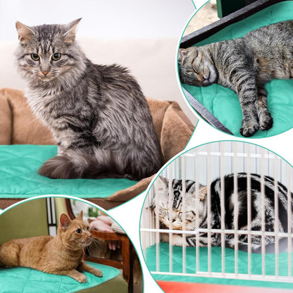 4 Pack Self Heating Cat Pad Self Warming Dog Mat Reflects Body Heat Extra Warm Thermal Pet Pad Washable Dog Cat Bed Crate Bed Mat Blanket (16 x 20 Inch,Mint Blue)