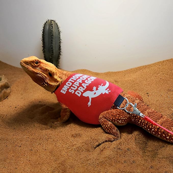Romansk Bearded Dragon Harness and Leash Set - Escape Proof Adjustable Lizard Reptiles Harness with Short Leash for Walking Outdoor - Fun Emotional Support Dragon Designs