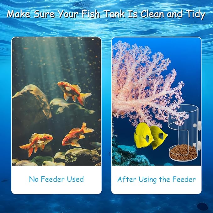 New Fish Tank Feeding Tray with Suction Cup, Feeding Tube Supplies, Tank Divider Supplies, Breeder Box for Aquarium, Round Aquariums & Fish Bowls Accessories