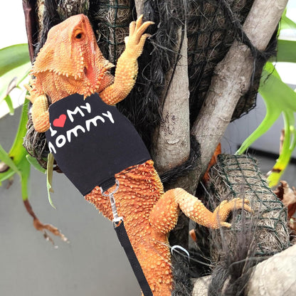 Adjustable Harness Clothes with Leash for Walking Outdoor Bearded Dragon Harness and Leash Set for Lizards,Chameleon,Reptile,Dress Your Bearded Dragon in The Best Outfit,Halloween Costume Accessories