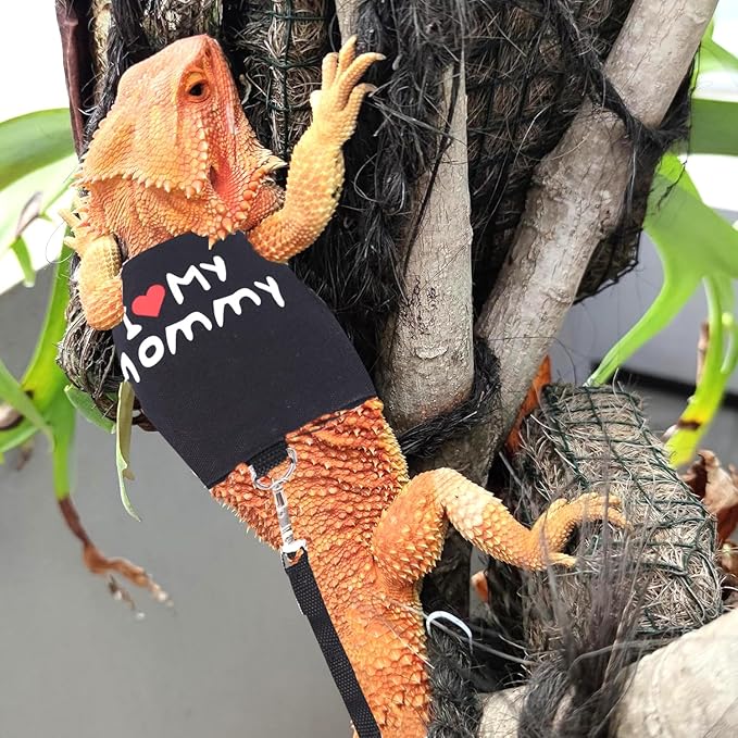 Small Animal Travel Backpack Carrier,Portable Bearded Dragon Bag for Sugar Glider,Hedgehog,Rat,Bunny,Rat,Outdoor Used (Green, Carrier L+ I Leash)