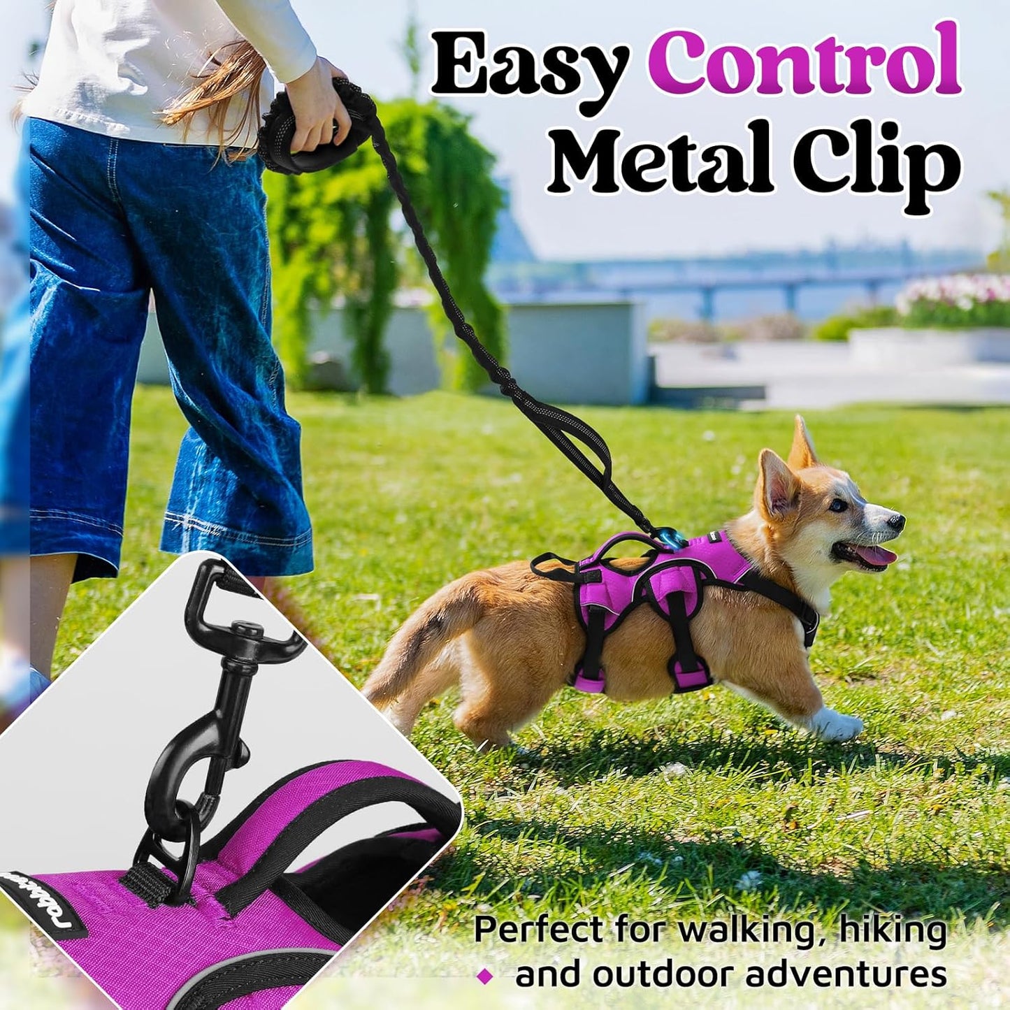 rabbitgoo Escape Proof Dog Harness, Soft Padded Full Body Pet Harness, Reflective Adjustable No Pull Vest with Lift Handle and Lesh Clip for Large Dogs Walking Hiking Training, S, Purple