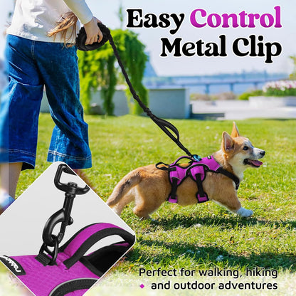 rabbitgoo Escape Proof Dog Harness, Soft Padded Full Body Pet Harness, Reflective Adjustable No Pull Vest with Lift Handle and Lesh Clip for Large Dogs Walking Hiking Training, S, Purple