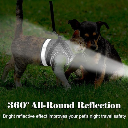 Cat Harness and Leash for Walking, Kitten Escape Proof Harnesses, Adjustable Reflective Puppy Harness with Leashes Set, Easy Adjustable Soft net Breathable Pet Safety Vest M (Chest: 12" - 14") Grey