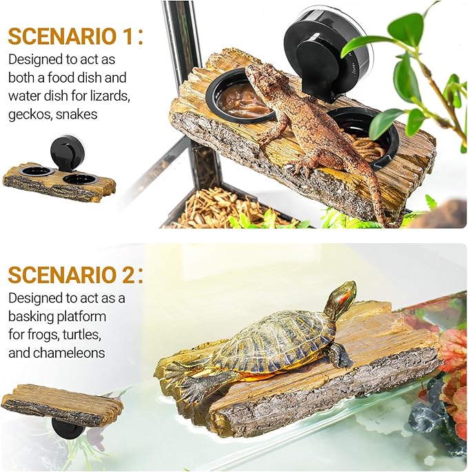 2 in 1 Reptile Feeding Ledge & Turtle Basking Platform, Resin Suction Cup Feeder with 4PCS Cups, Terrarium Water Bowl Food Dish - Tank Accessories for Crested Gecko Lizards & Aquatic Turtles