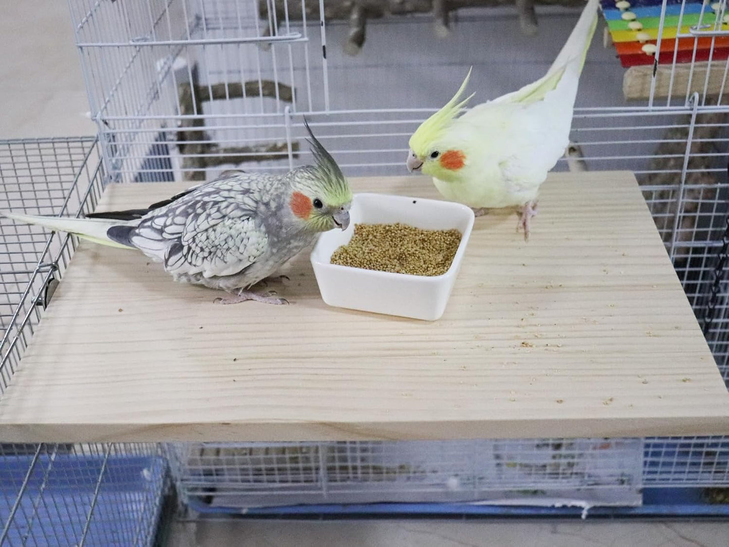 21.7 × 13.8 Inches Large Bird Perch Stand Platform, Natural Wooden Small Animals Cage Accessories, Rectangle Stand Perch Shelf for Parrot Parakeet Cockatiel Rat Hamster Guinea Pig Conure Chinchillas