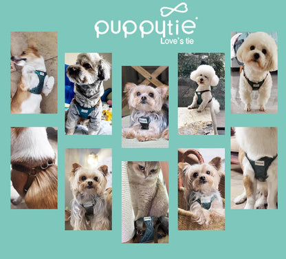 Puppytie No Pull xs Dog Harness with Multifunction Dog Leash,Soft Adjustable No Choke Escape Proof Pet Harness Vest,Glossy Dark Green,XXS