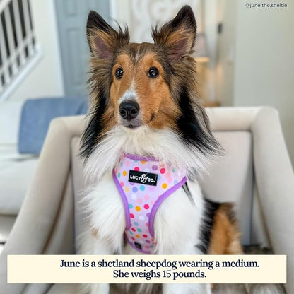 Lucy & Co. Cute Reversible Dog Harness Walking Halter - Best Designer Pet Harnesses for XS - XL Dogs - Padded Adjustable Vest for Easy Walking (Large, Unicorn Magic - Purple & Pink Unicorns)