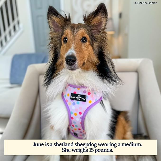 Lucy & Co. Cute Reversible Dog Harness Walking Halter - Best Designer Pet Harnesses for XS - XL Dogs - Padded Adjustable Vest for Easy Walking (Medium, Unicorn Magic - Purple & Pink Unicorns)