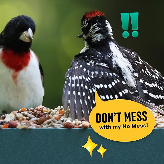 No Mess with Fruit Wild Bird Seed – 10 lb. 100% Edible Shell-Free Blend with Sunflower Hearts, Peanuts, Tree Nuts, Pumpkin Seed & Real Fruit – No Waste Bird Seed for Outside Feeders