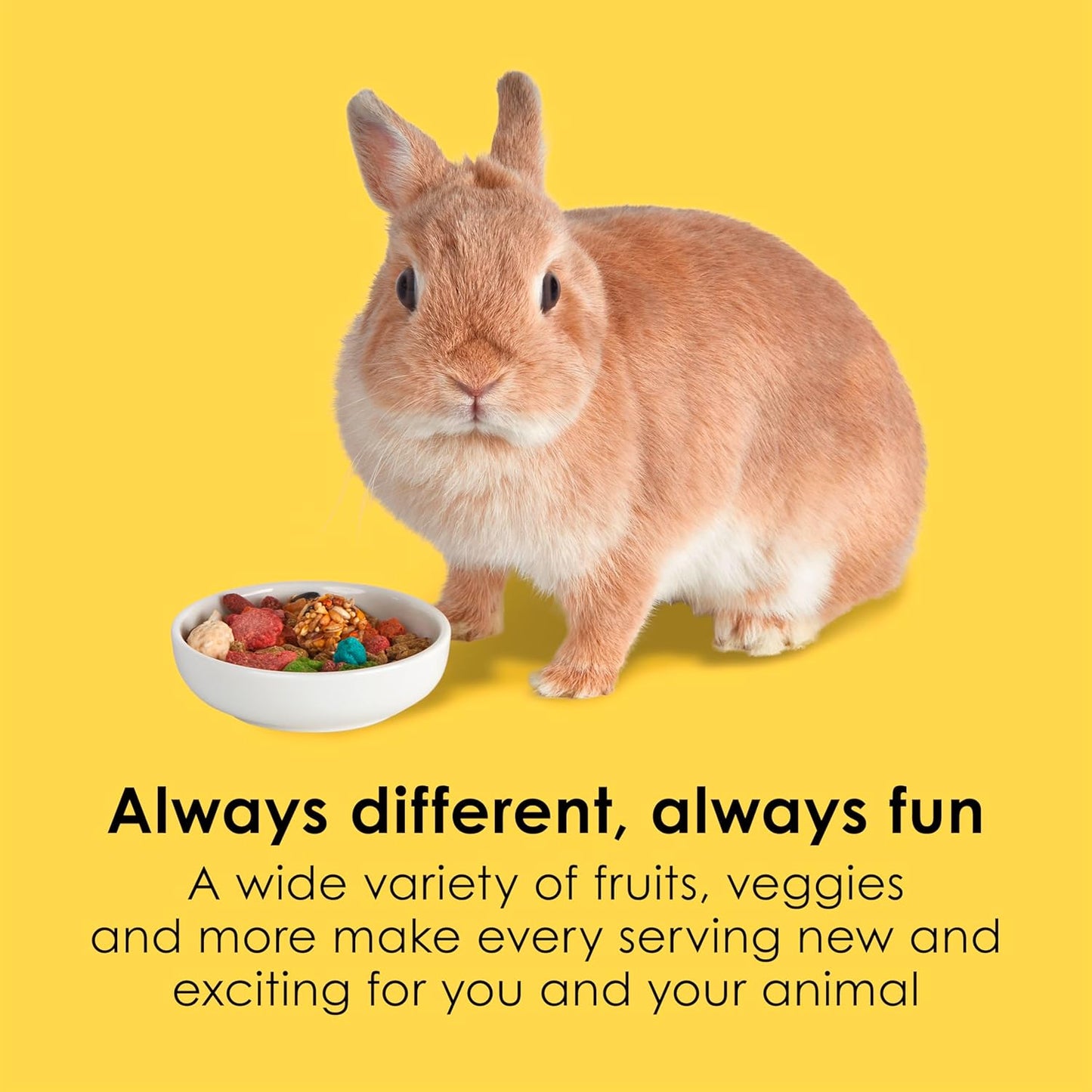 Kaytee Fiesta Rabbit Food, Nutritious and Fun Blend, Supports Dental Health and Digestion, 3.5 pounds