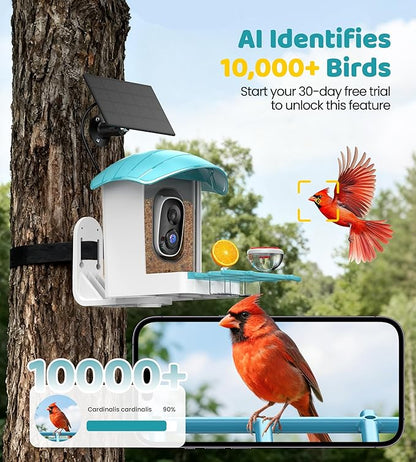 Bird Feeder with Camera Solar Powered: Smart Bird Feeders for Outdoors Garden with AI Identify Auto Capture 2K HD Bird House with Camera Outside WiFi Live View Birdfeeder Cam Gift for Birds Lover