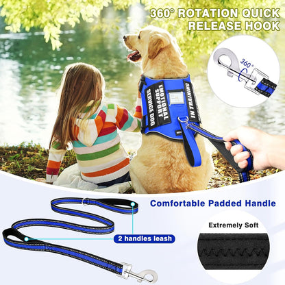 Service Dog Vest Harness and Leash Set+10 Patches,No Pull&Easy Walk Reflective Dog Harness with Soft Padded Handle for Training/Everyday,Fit Small/Medium/Large/Extra-Large Dogs (Blue L)