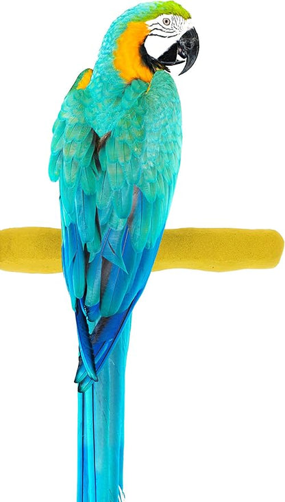 Sweet Feet and Beak Comfort Grip Safety Perch for Bird Cages - Pedicure Perch for Birds to Keep Nails and Beaks in Top Condition - Safe Easy to Install Bird Cage Accessories- L 13"