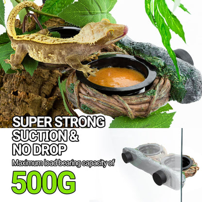 REPTI ZOO Magnetic Reptile Feeder Ledge, Gecko Feeder with 4 Cups, Hollow Vine Food Dish, Water Bowl for Lizard & Snake, Terrarium Accessories