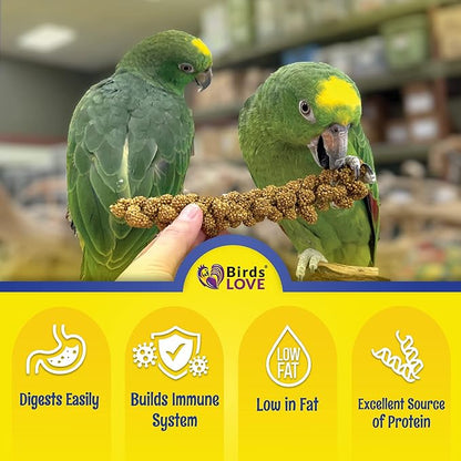 Birds LOVE Economy Special Spray Millet | GMO-Free (No Stems Only Edible Tops) for Birds Cockatiel, Lovebird, Parakeet, Finch, Canary All Parrots Healthy Treat 7 oz -Pack of 2
