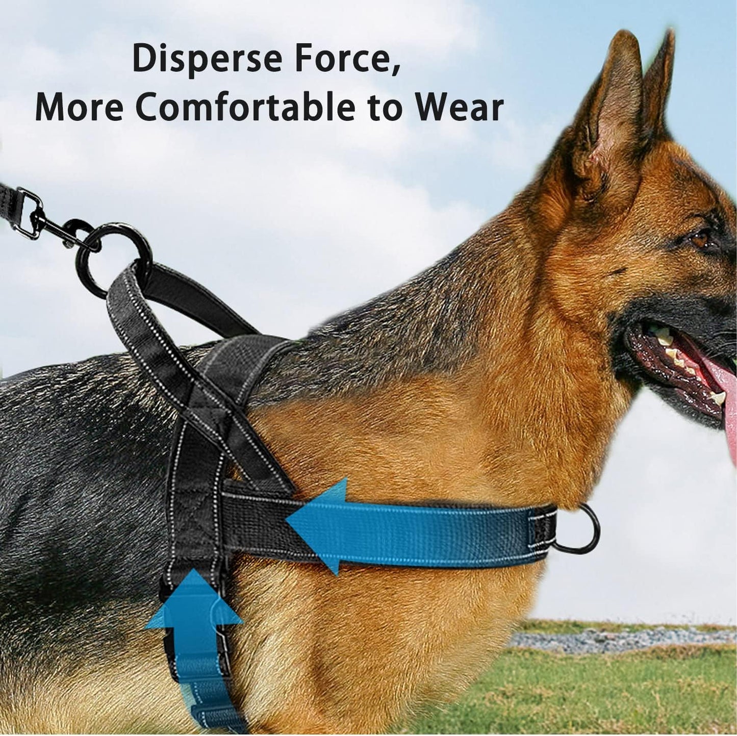 Green No Pull Dog Harness for Small Medium Large Sized Dog, Reflective Escape Proof Adjustable Dog Harnesses with 2 Patch, XL