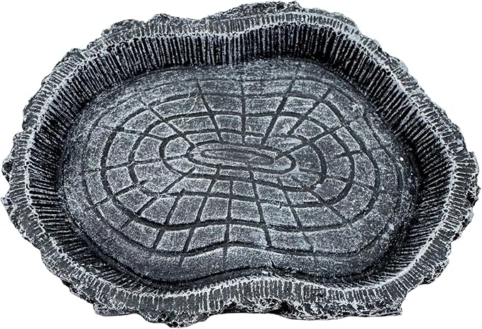 2 Pack Shallow Reptile Food Bowls, Reptile Feeding Terrarium Bowls for Bearded Dragon Lizard Frog Gecko Tortoise Hermit Crab Snail (Black)