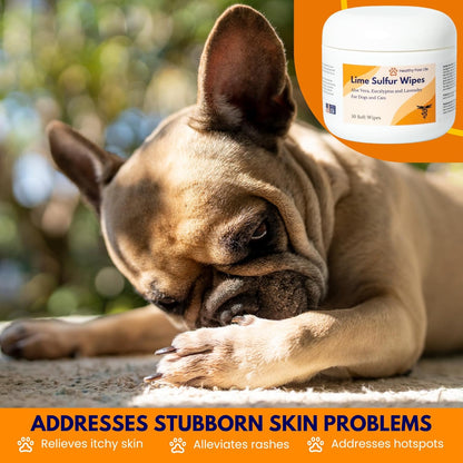 Healthy Paw Life Lime Sulfur Wipes - Relief for Itching, Scratching, and Redness - Infused with Lime Sulfur, Aloe & Essential Oils - Skin Care Solution for Pets (50ct, 2" Skin Soothe Wipes)