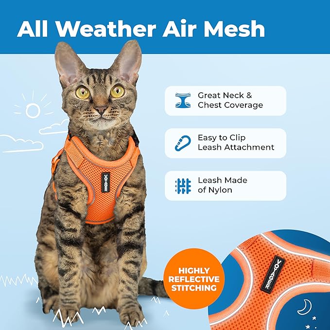 Voyager Escape Proof Cat Harness and Leash Set with Reflective Stitching, Neoprene Handle 5ft - Supports Small, Medium and Large Cats, Kittens for Walking by Best Pet Supplies - Orange, S