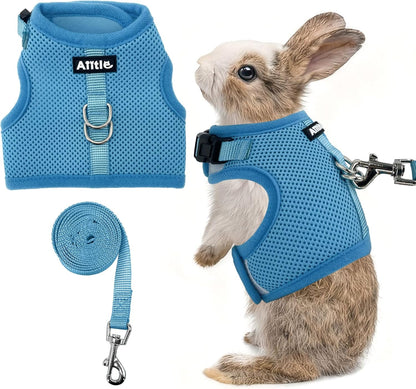 AIITLE Lightweight Escape Bunny Harness and Leash Set - Air Mesh Vest with Double D-Rings, Adjustable & Magic Tape Design, for Ferret/Cat/Puppy Training and Hiking Adventures, Blue L