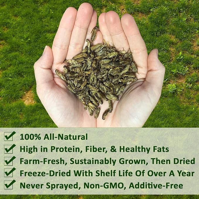 1.5 Pound Dried Crickets - High Protein Insect Treat - Chickens, Wild Birds, Hedgehogs, Bluebirds, Reptiles, Sugar Gliders, Opossums, Skunks, Lizards, Bearded Dragons, Fish, Turtles 8 oz. (3 Pack)