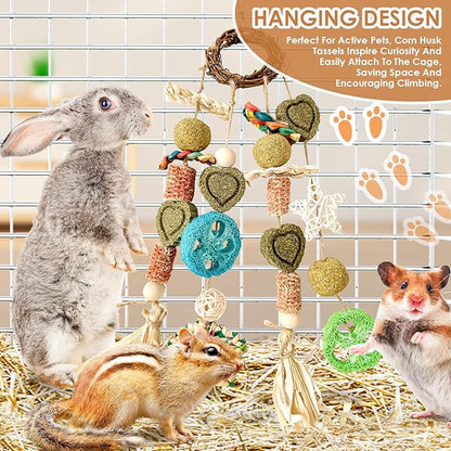 Bunny Chew Toy, Rabbits Cage Hanging Chew Toys and Treats Rattan Ring with Snacks Water Grass Wooden Block Carrot for Guinea Pigs Chinchillas Hamsters Rats and Other Small Pets Teeth Grinding