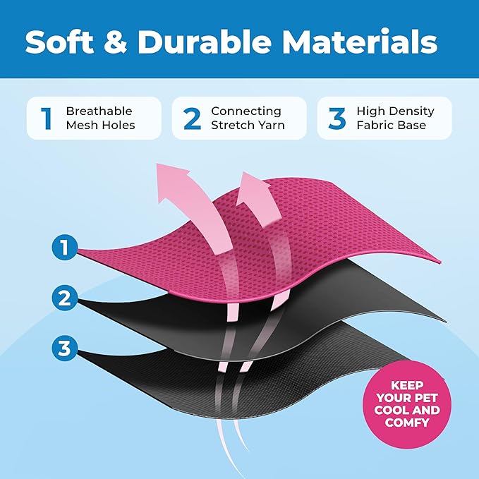 Voyager Escape Proof Cat Harness and Leash Set with Reflective Stitching, Neoprene Handle 5ft - Supports Small, Medium and Large Cats, Kittens for Walking by Best Pet Supplies - BT-Fuchsia, XXS