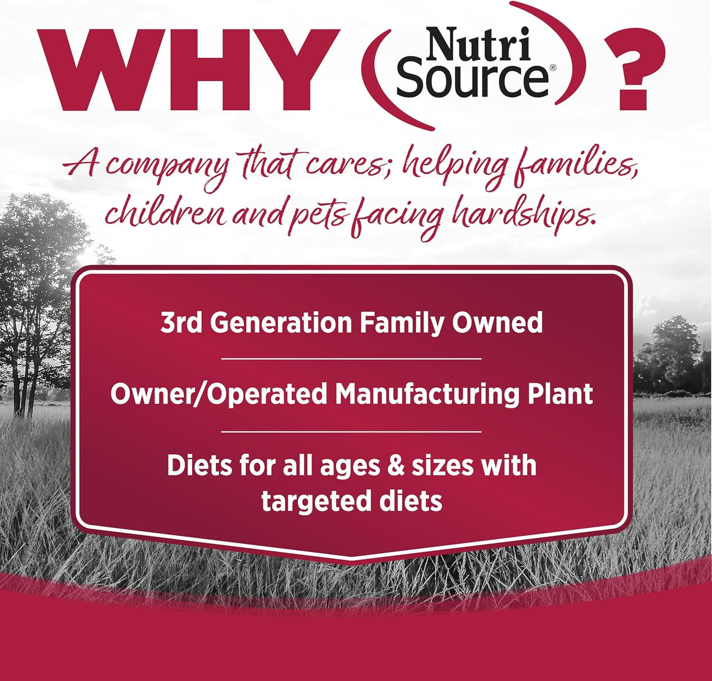 NutriSource Grain Free Seafood Select Recipe Dog Food, Premium Wet Dog Food, 12.3 Ounce (Pack of 12)