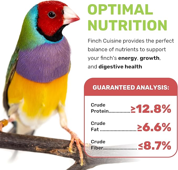 Finch Cuisine 4 Lbs, Finch Food, Nutrient-Rich Blend Bird Seed, Birdseed for Finches and Small Birds, Support Daily Energy, Growth & Healthy Balanced Diet, No Mess Bird Seed