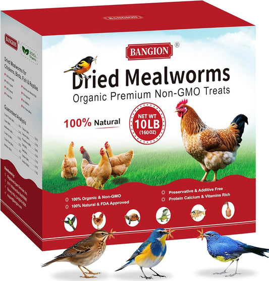 Dried Mealworms 10 Lbs-Organic MealWorms for Chickens & Birds, Non-GMO Meal Worms for Chickens, Wild Birds, Bluebirds, High Protein Chicken Feed Bird Treats, Worms for Chicken, Hens, Bird, Reptiles