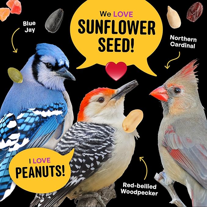 Nut & Fruit Wild Bird Seed – 10 lb. Gourmet Bird Food with Sunflower Hearts, Peanuts, Tree Nuts & Real Fruit – No Corn, Milo or Millet Bird Seed for Outside Feeders