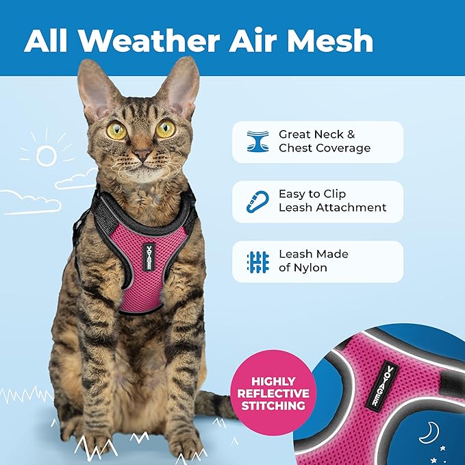 Voyager Escape Proof Cat Harness and Leash Set with Reflective Stitching, Neoprene Handle 5ft - Supports Small, Medium and Large Cats, Kittens for Walking by Best Pet Supplies - BT-Fuchsia, XXS