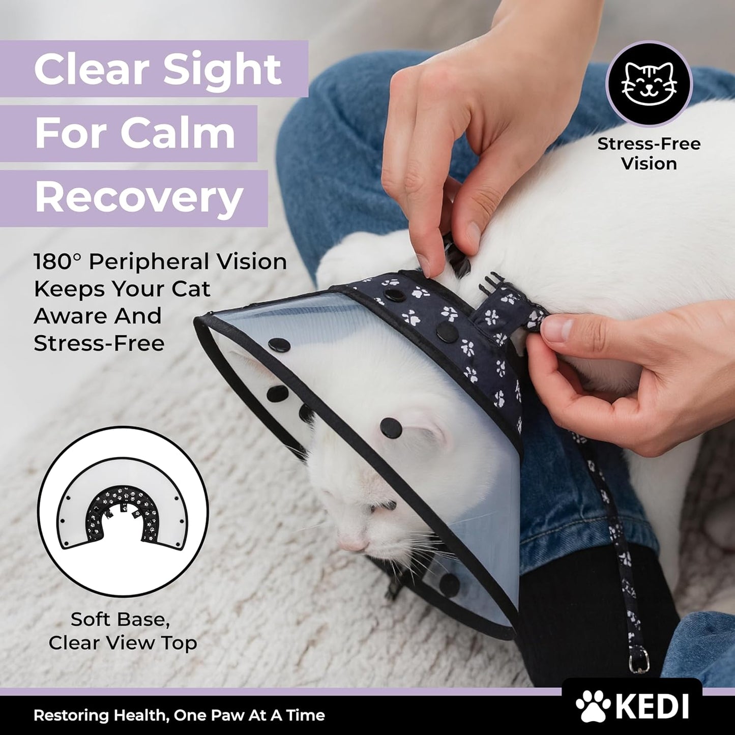 Cat Recovery Cone Kit Post Surgical Soft Pet Vest, Collar, and Non-Irritating Protection Cone for Cats - Comfortable Injury Care Solution (Black, M)