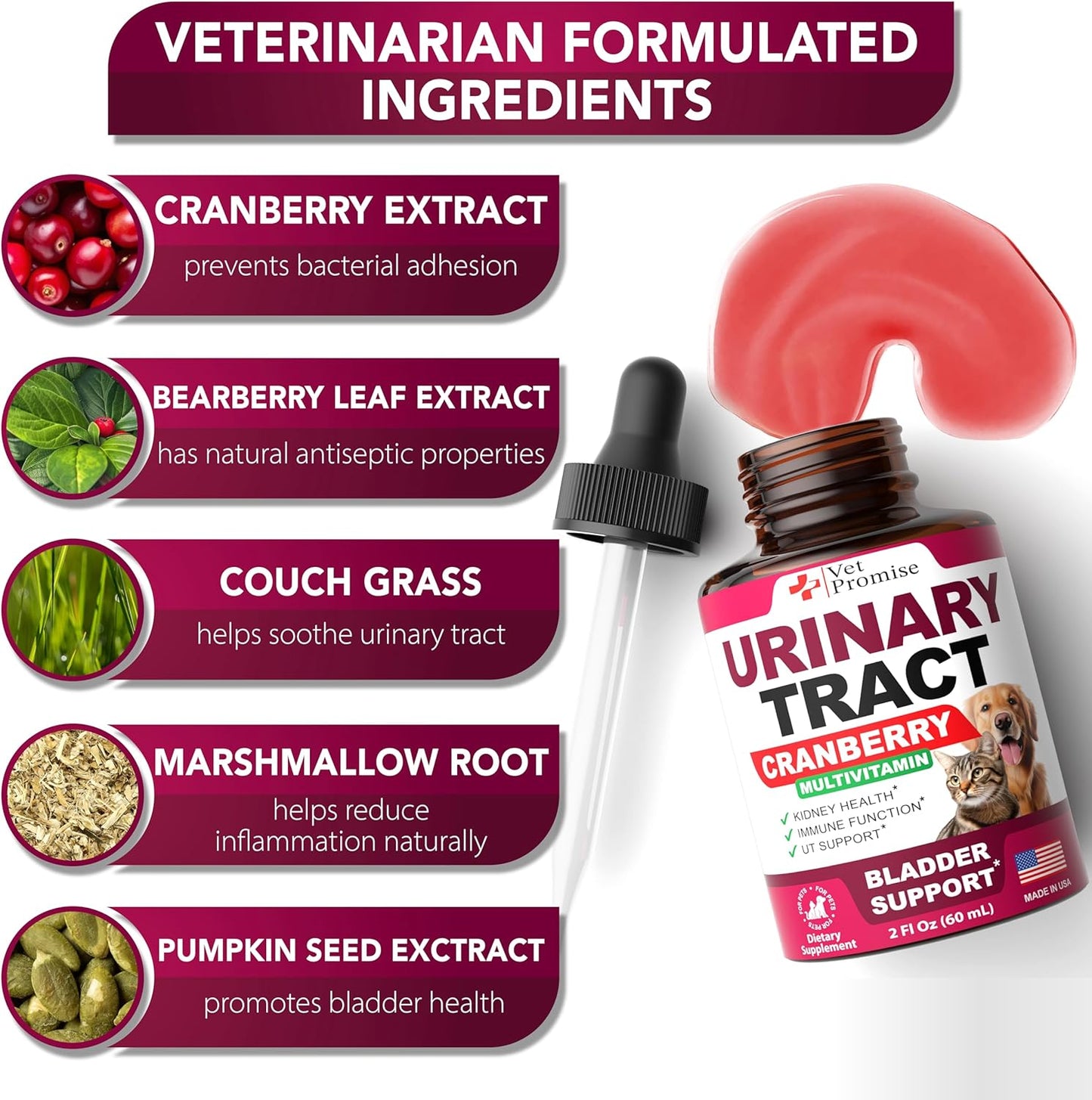 Cat & Dog UTI Treatment - Urinary Tract Infection Treatments with Cranberry - Dog & Cat UTI Medicine - Advanced Kidney & Bladder Support Multivitamin - Renal Health Supplement Vitamins - Made in USA