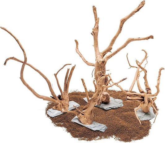 Ultum Nature Systems Driftwood - Spider Wood on Slate Stone for Fish Tank, Planted Tank, Terriarium, Paludarium - Versatile Natural Driftwood Decor - Spider Wood on Slate Stone, Medium (12-15")