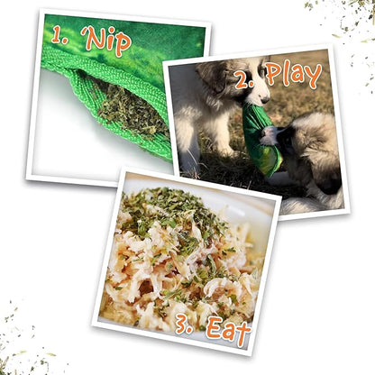 Doggijuana Tuffer Chewer Plush Dog Toy | Funny Dog Toy Plush with Juananip Catnip for Dogs | Calming Aid for Dogs | Interactive Squeaky Chew Toy for Play (Dill Pickle)