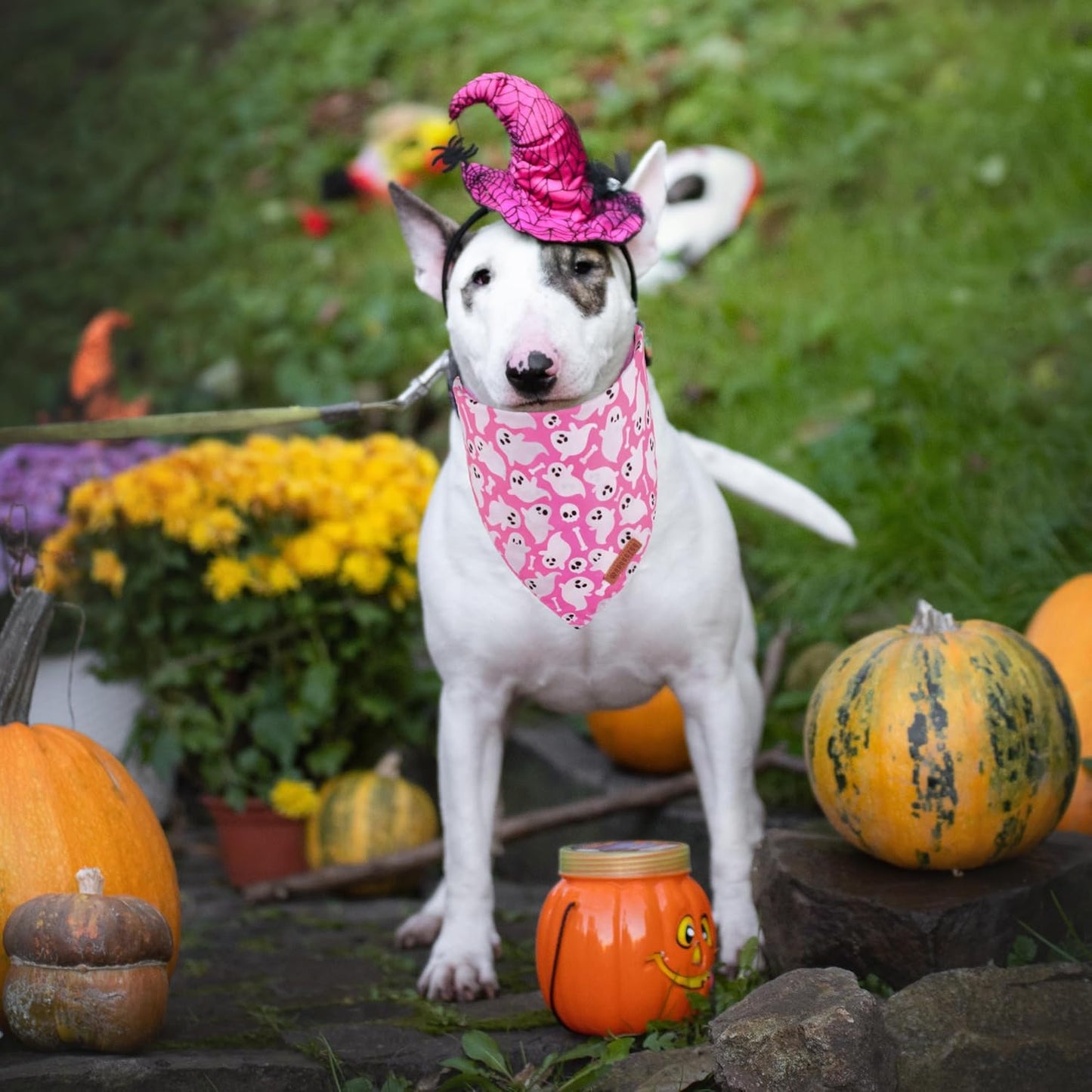 ADOGGYGO Halloween Dog Bandana, Pink Pumpkin Ghost Pet Scarf, Premium Durable Fabric, Adjustable Fit Female Halloween Bandanas for Small Dogs Puppies Cats (Small)