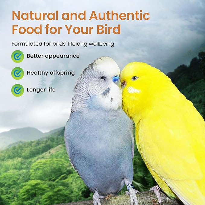 Harrison's High potency Mash 1 Lb