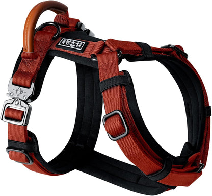 MADE TO ROAM Premium Explorer Harness - Y-Shaped Dog Harness with Adjustable Durable Nylon, Soft Padding, Metal Buckles and Leather Handle for Small, Medium, Large Dogs (Texas Flair, Size 7)