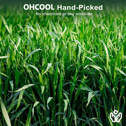 Premium Oat Hay for Pets - Dust Free Natural Green Fresh Pet Food Hay for Rabbits, Guinea Pigs, Chinchillas, Hamsters & Gerbils - 2.2lbs (2 packs of 1.1lbs）