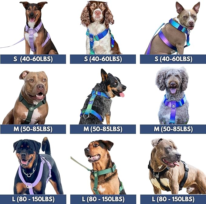 Spark Paws No Pull Dog Harness for Large Dogs, Heavy Duty Dog Harness for Big Strong Breeds, Adjustable, Y Shaped Padded Halter Design with Front Clip - Snow Cone - Medium