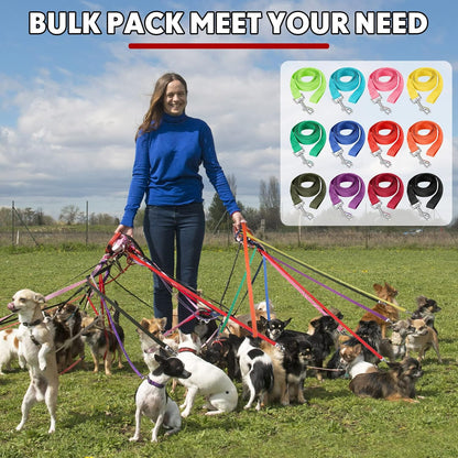 Hillban 36 Pcs Dog Leash Bulk 5 ft Multicolored Puppy Training Leash Slip Pet Traction Nylon Rope for Small Medium Dogs Agility, Yard, Camping, Backyard Play(12 Colors)