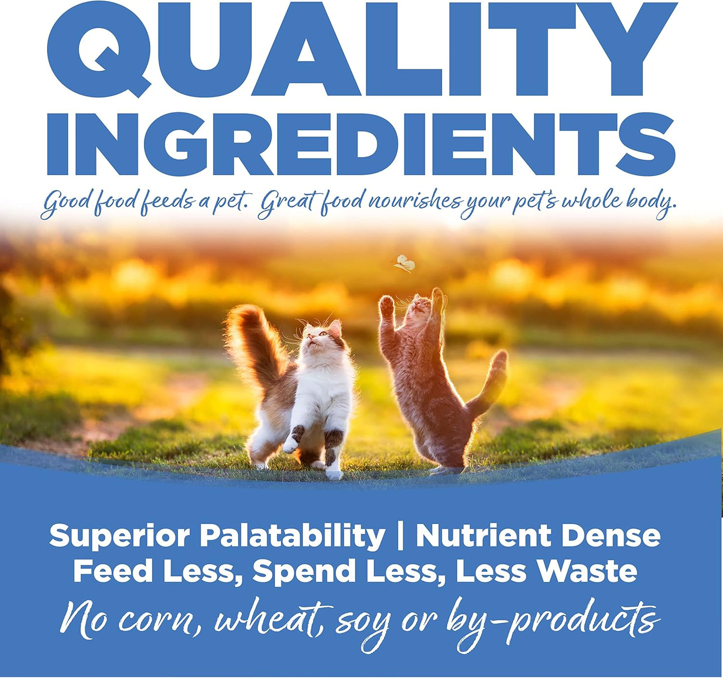 NutriSource Cat & Kitten Food, Made with Chicken Meal, Salmon and Liver, with Wholesome Grains, 16LB, Dry Cat Food