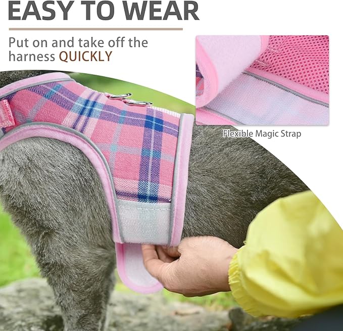 PUPTECK Soft Mesh Cat Vest Harness and Leash Set Puppy Padded Pet Harnesses Escape Proof for Cats Small Dogs Rabbits Bunny, Plaid Pink, S