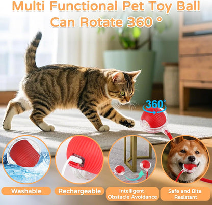 2025 New 3Pack Cat Ball Kitten Toys for Indoor Interactive Kitty Ball Toy Speedy Tail 360° Automatic Rolling(Red Grey Green)